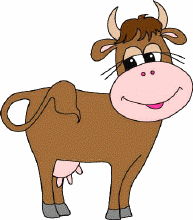 image of a cow