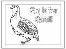 letter q alphabet coloring book pages