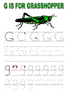 letter g alphabet tracer pages