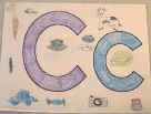 letter c alphabet ideas