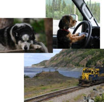 Alaska Road Trip Journal