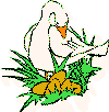 aesop's fables activities - goose with golden eggs