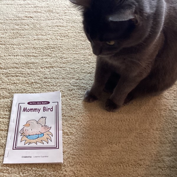 Mara inspects our new Mommy Bird book.