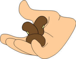 beans