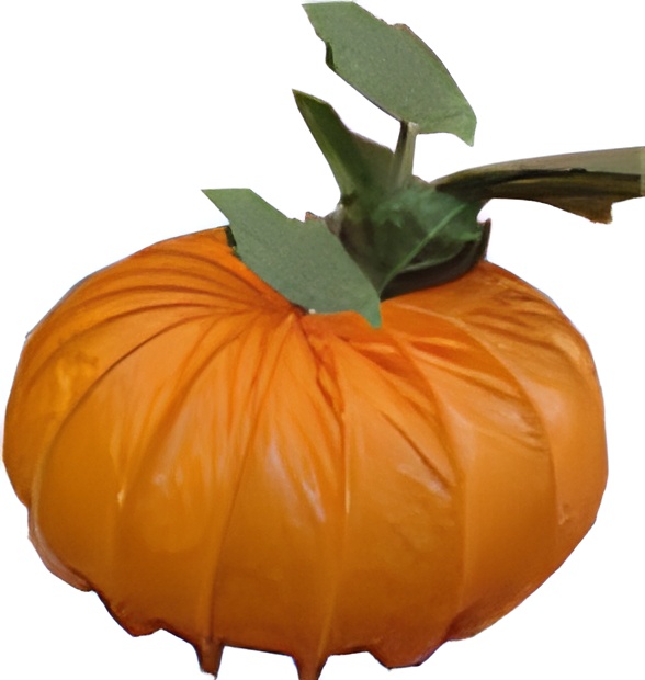 pumpkin crafts