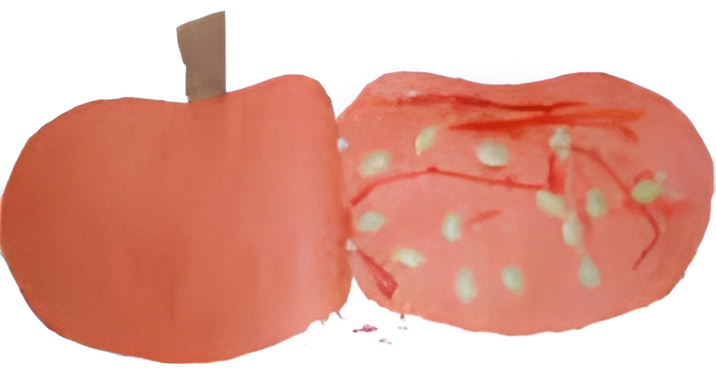 pumpkin crafts