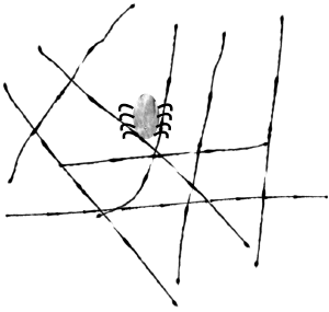 spider web craft