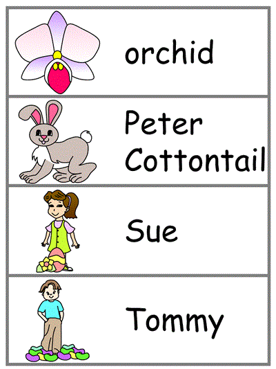 Word Wall Words
