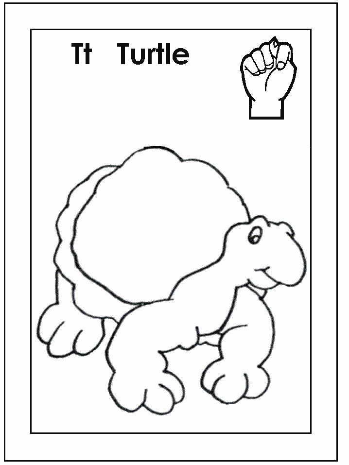 template