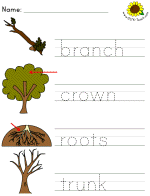 picture clue tracer worksheets