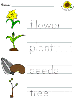 picture clue tracer worksheets