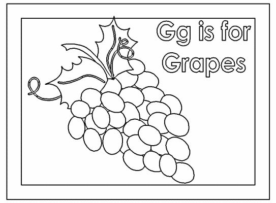 letter g is for grapes coloring page
