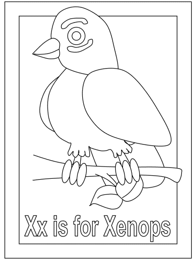 letter Xx is for Xenops alphabet coloring pages