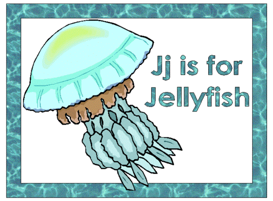 letter j is for jellyfish alphabet poster