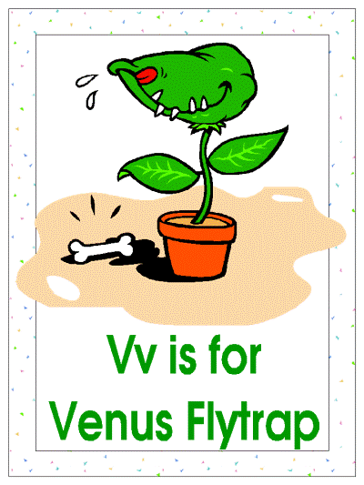 Vv is for Venus Flytrap alphabet poster