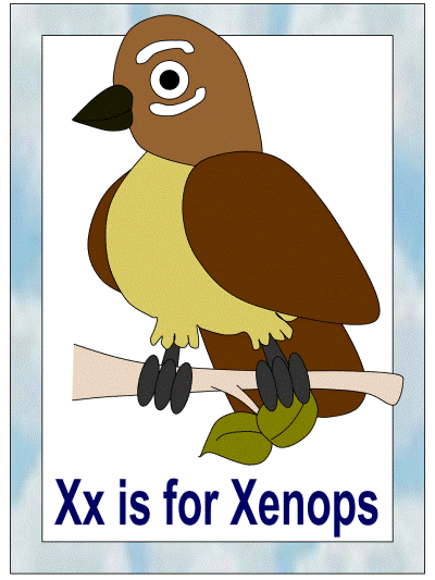 letter Xx is for Xenops alphabet poster