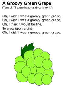 A Juicy Green Grape
