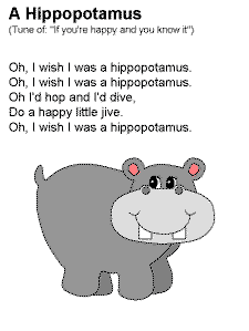A Hippopotamus