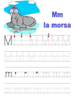 Traza Lineas