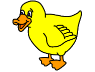 duck