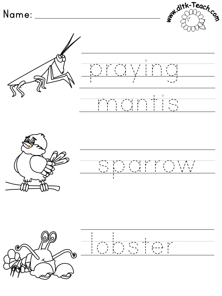 template