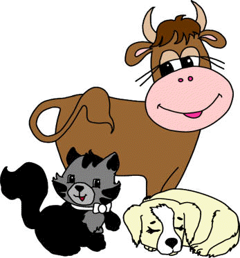 cow dog and cat