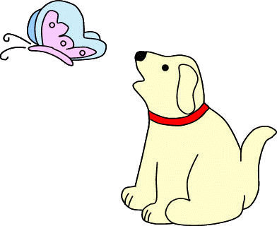 dog and butterfly