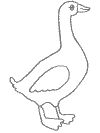 fables coloring pages