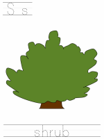 Printable print practice worksheet - Ss shrub