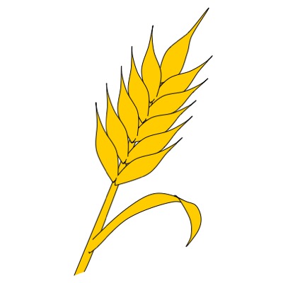 wheat stalk