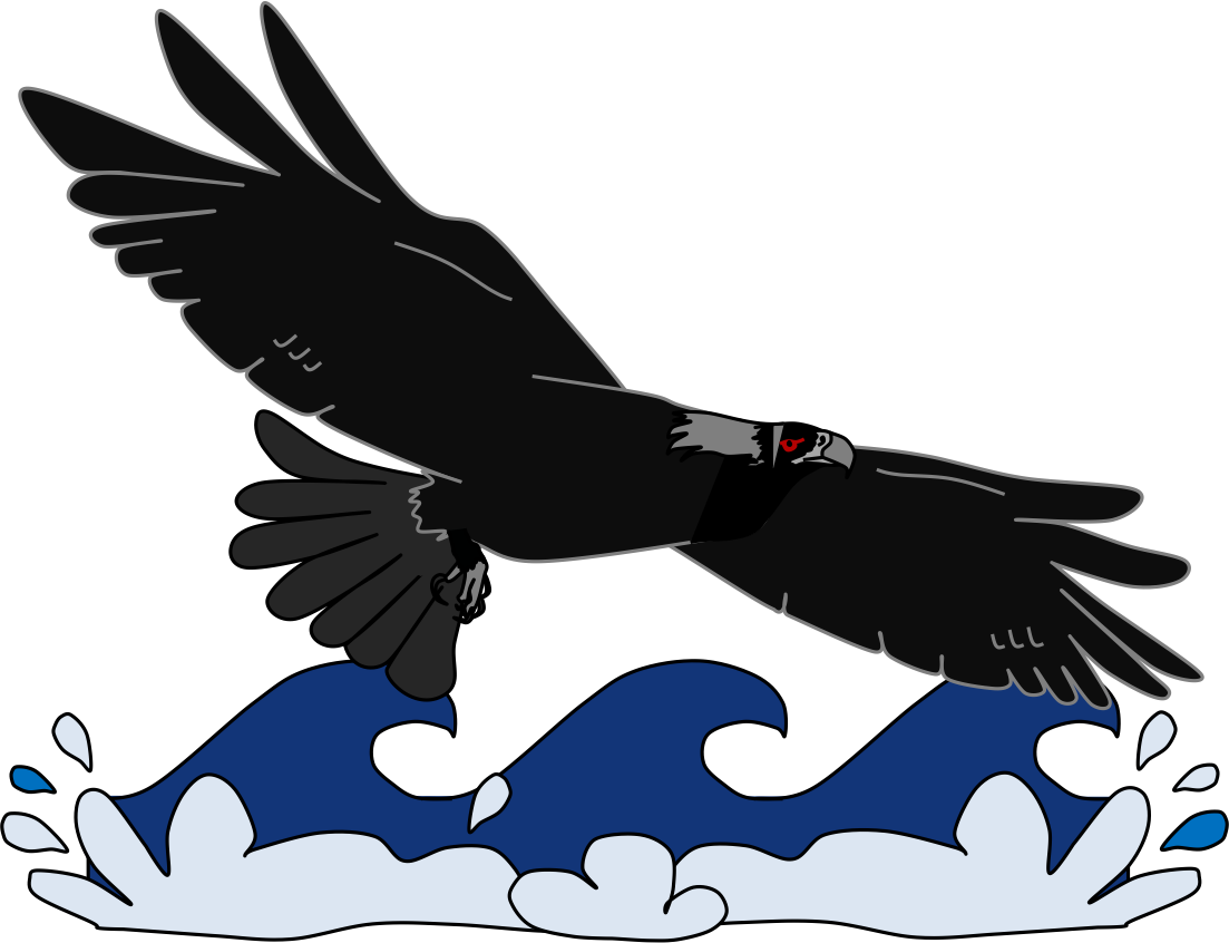 The Story of Sedna: flying raven