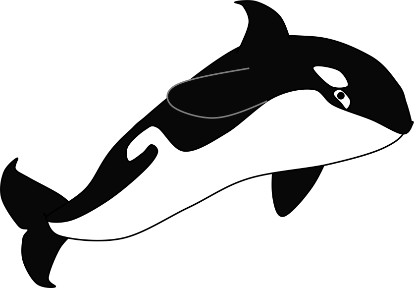 The Story of Sedna: walrus