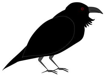 raven