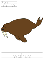 Printable print practice worksheet - Ww walrus