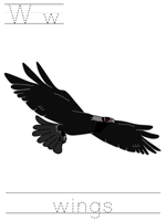 Printable print practice worksheet - wings