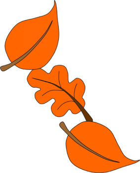 Thumbelina leaves
