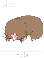 Printable print practice worksheet - Mm mole