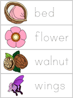 Word Wall Words