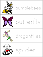 Word Wall Words