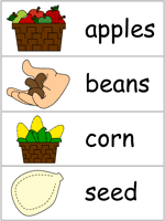 Word Wall Words