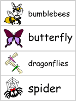Word Wall Words