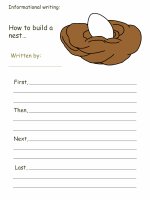 the ugly duckling informational writing