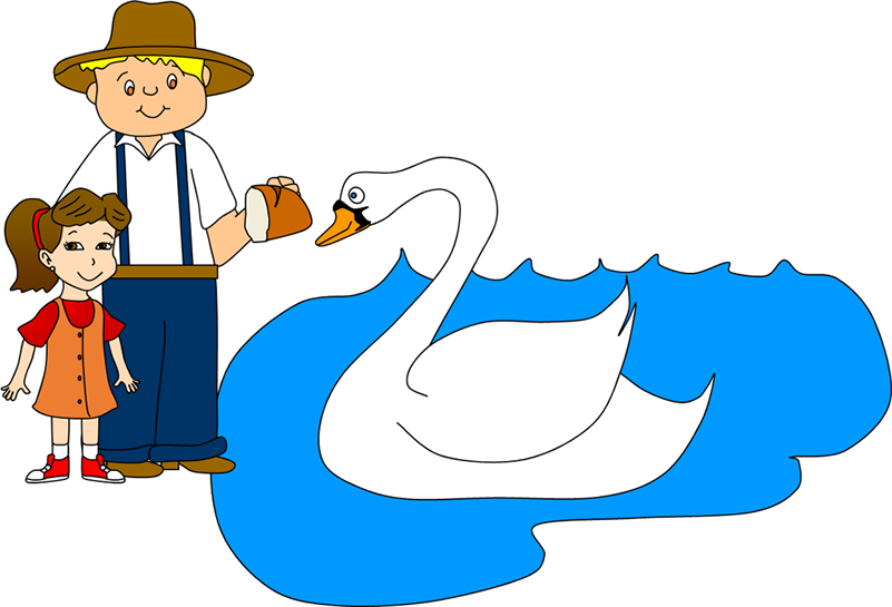 Feeding swans