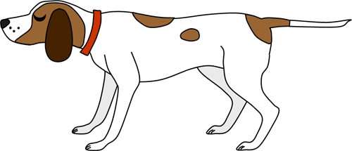 Basset hound chases the birds.