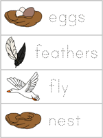 Word Wall Words