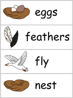 Word Wall Words