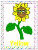 learn your colors