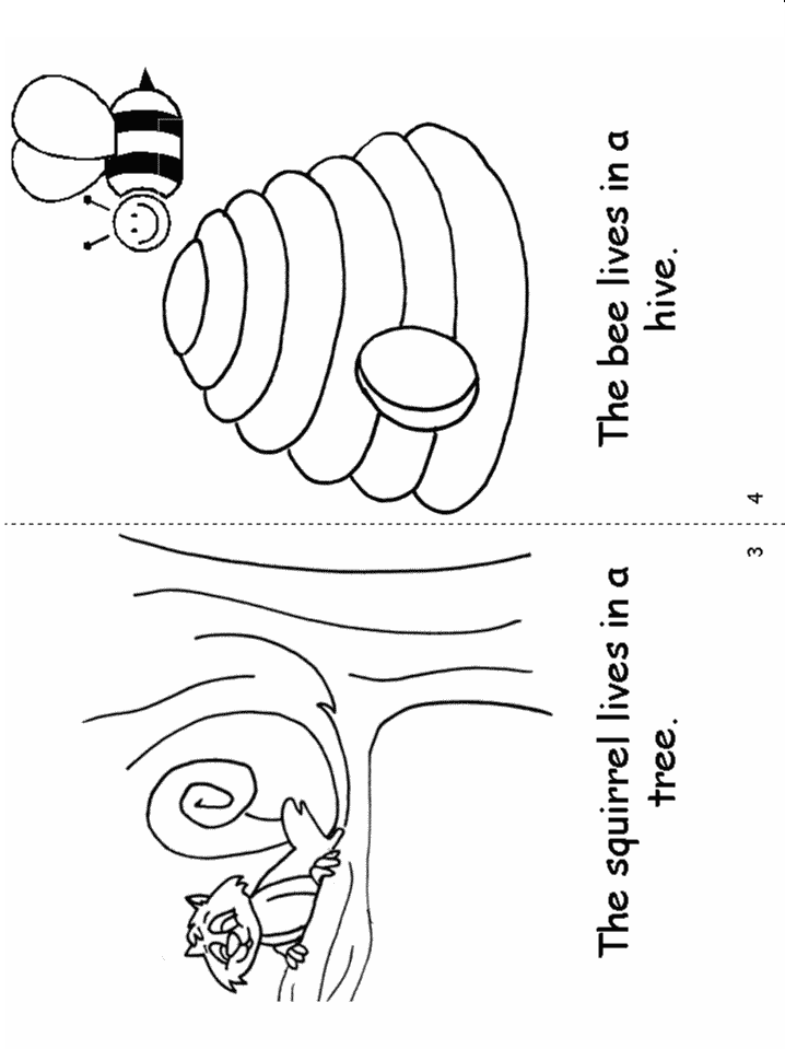 template