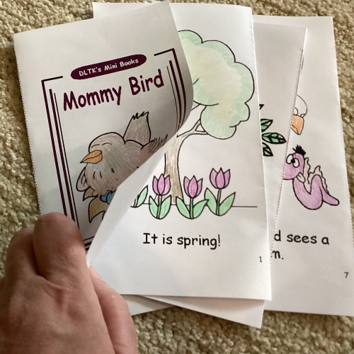 Insert pages into the cover of the mini book.