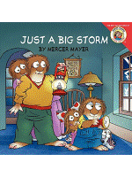 Just a Big Storm